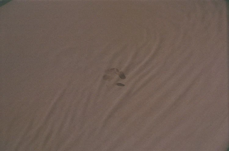 Aleksandra, 23 story cover