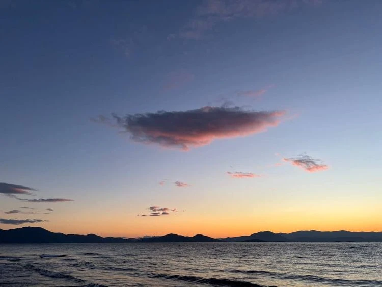 Susanne, 65 story cover